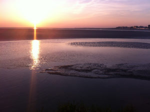 Baie de Somme 2014