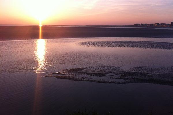 Baie de Somme 2014