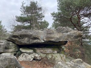 Photo Fontainebleau 1