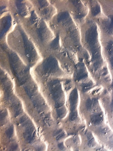 traces